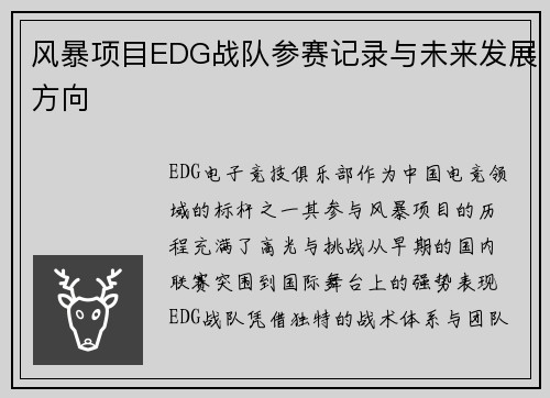 风暴项目EDG战队参赛记录与未来发展方向